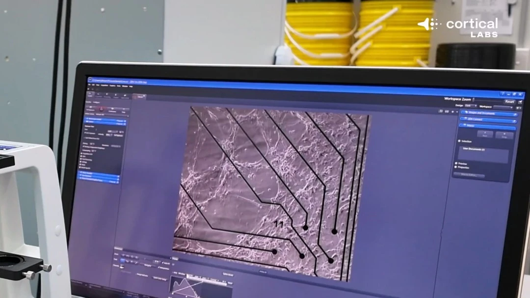 临界值数据,分析揭示潜,在疑点,爱游戏体育娱乐官网玩家首选,爱游戏体育娱乐官网H5,爱游戏体育娱乐官网游戏平台